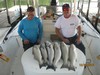 (10/30/2016) - Nice Striped Bass